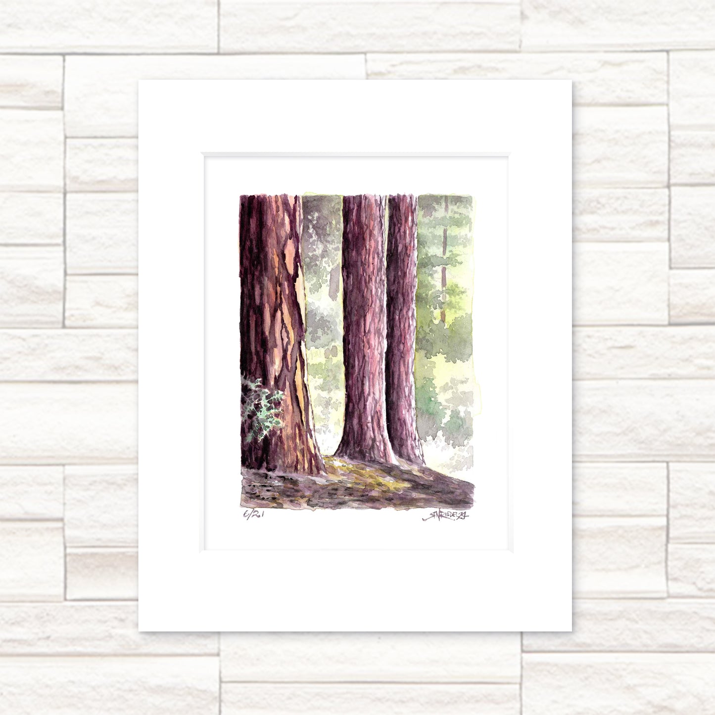 "Redwoods" -11x14 Forest Watercolor Print | Pacific Crest Trail Art |Hand-Painted on the PCT