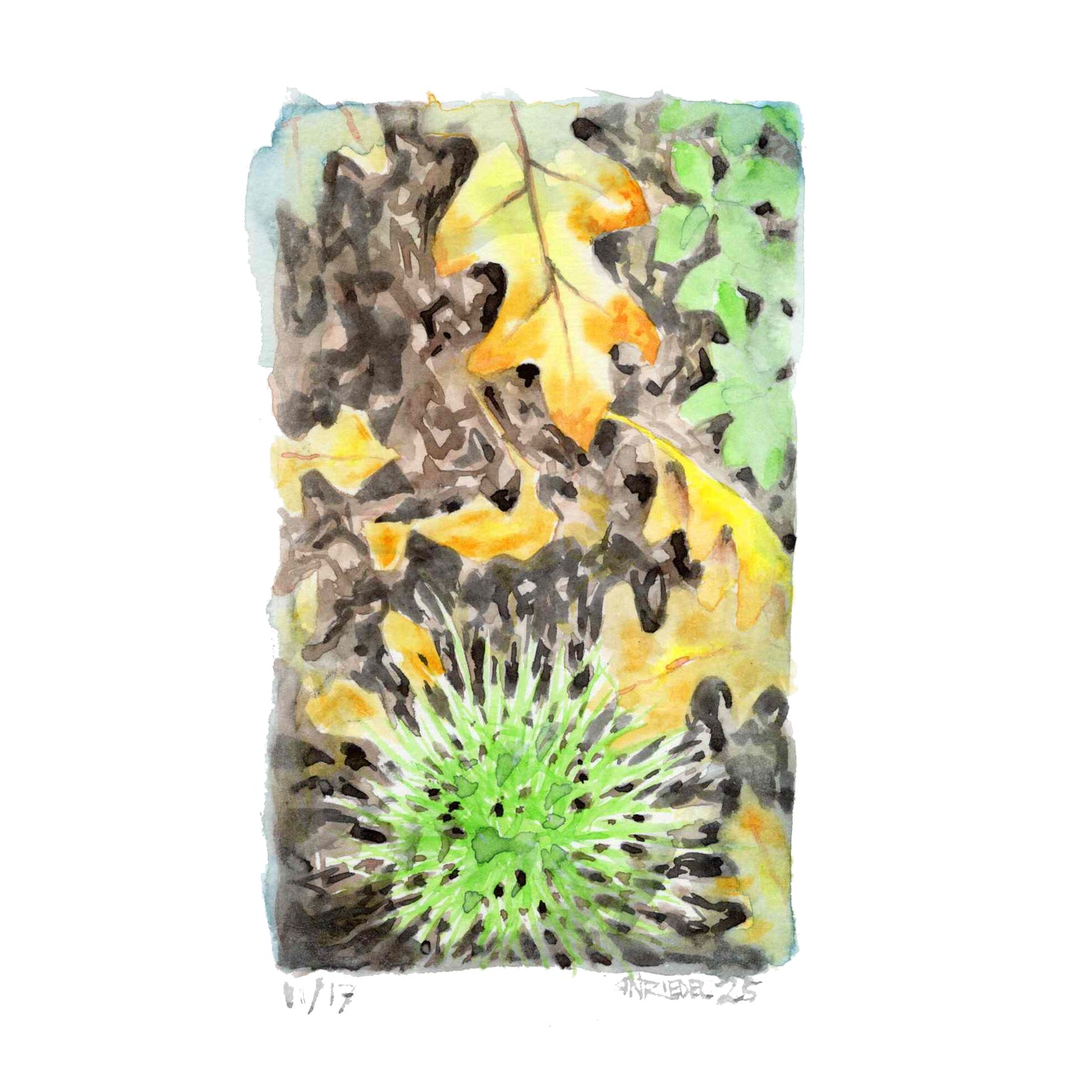 "Beneath Our Feet” - 8x10 Watercolor Print | Appalachian Trail Inspired Art