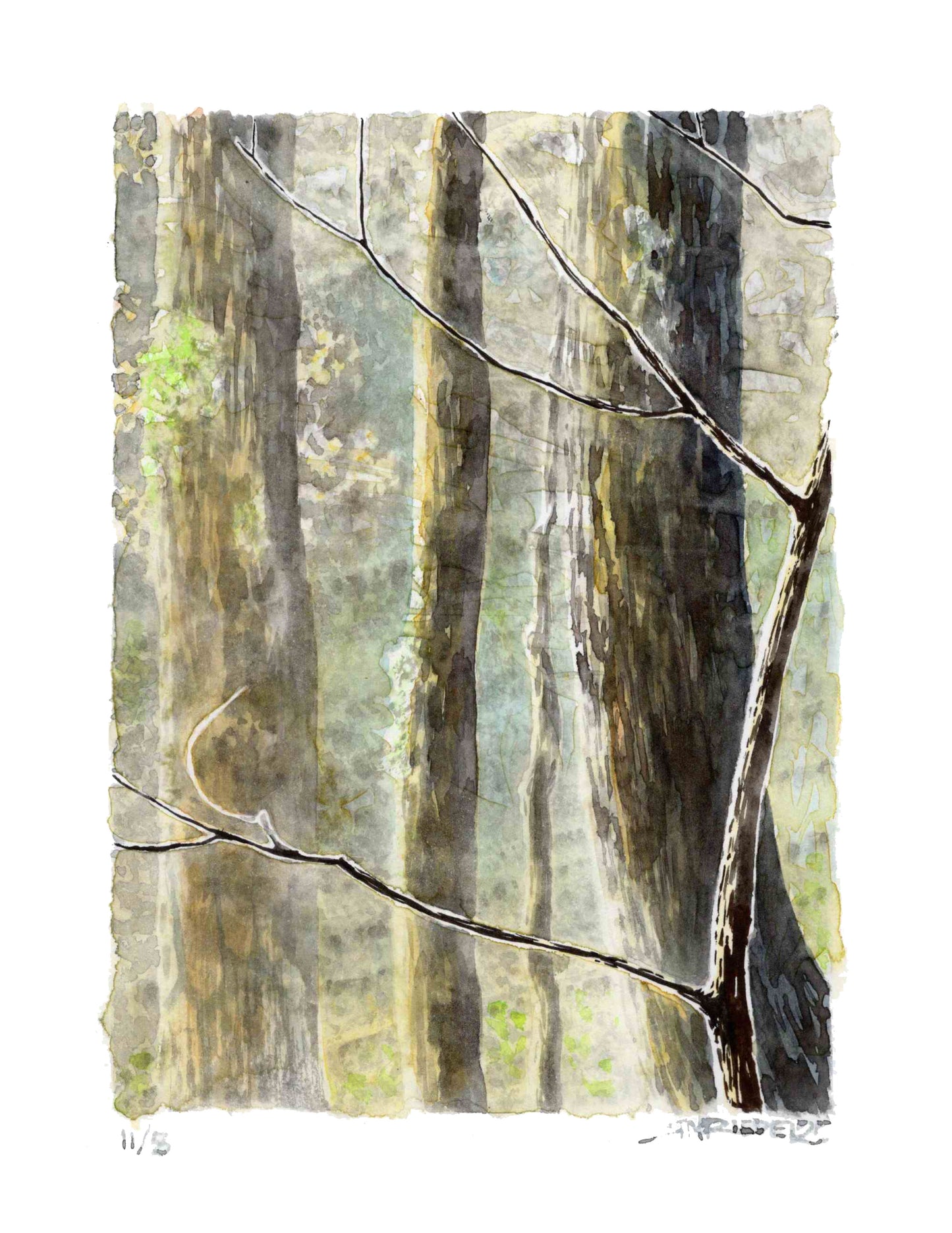 "Grayson Cathedral" - 11x14 Watercolor Print | Appalachian Trail Inspired Artwork
