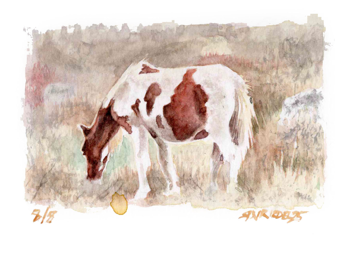 "Highlands Pony” - 8x10 Watercolor Print | Appalachian Trail Inspired Art