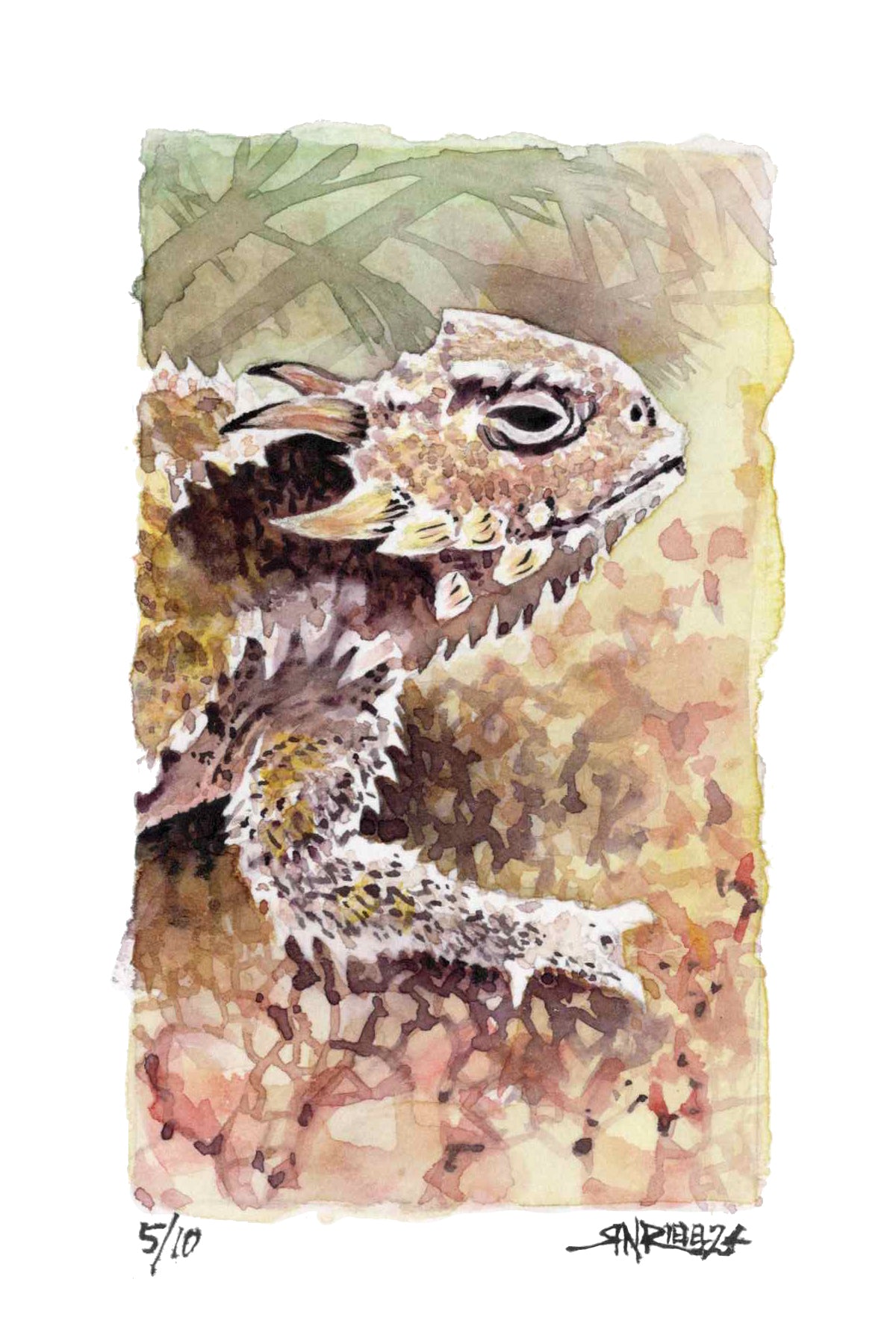 "Desert Life" - 8x10 Watercolor Print | Pacific Crest Trail Inspired Art | Horned Lizard Watercolor