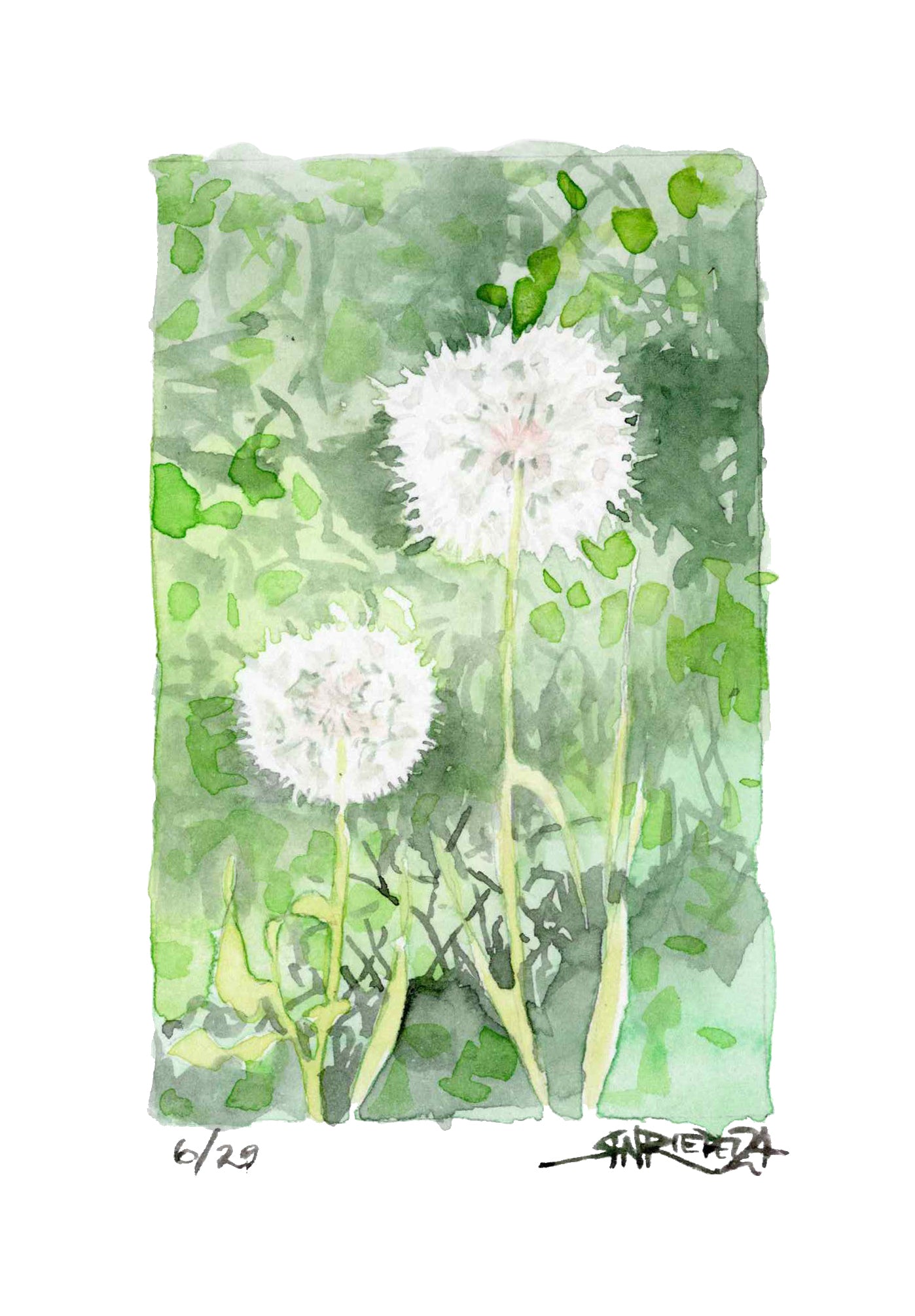 "Make a Wish" - Watercolor Print - 8x10