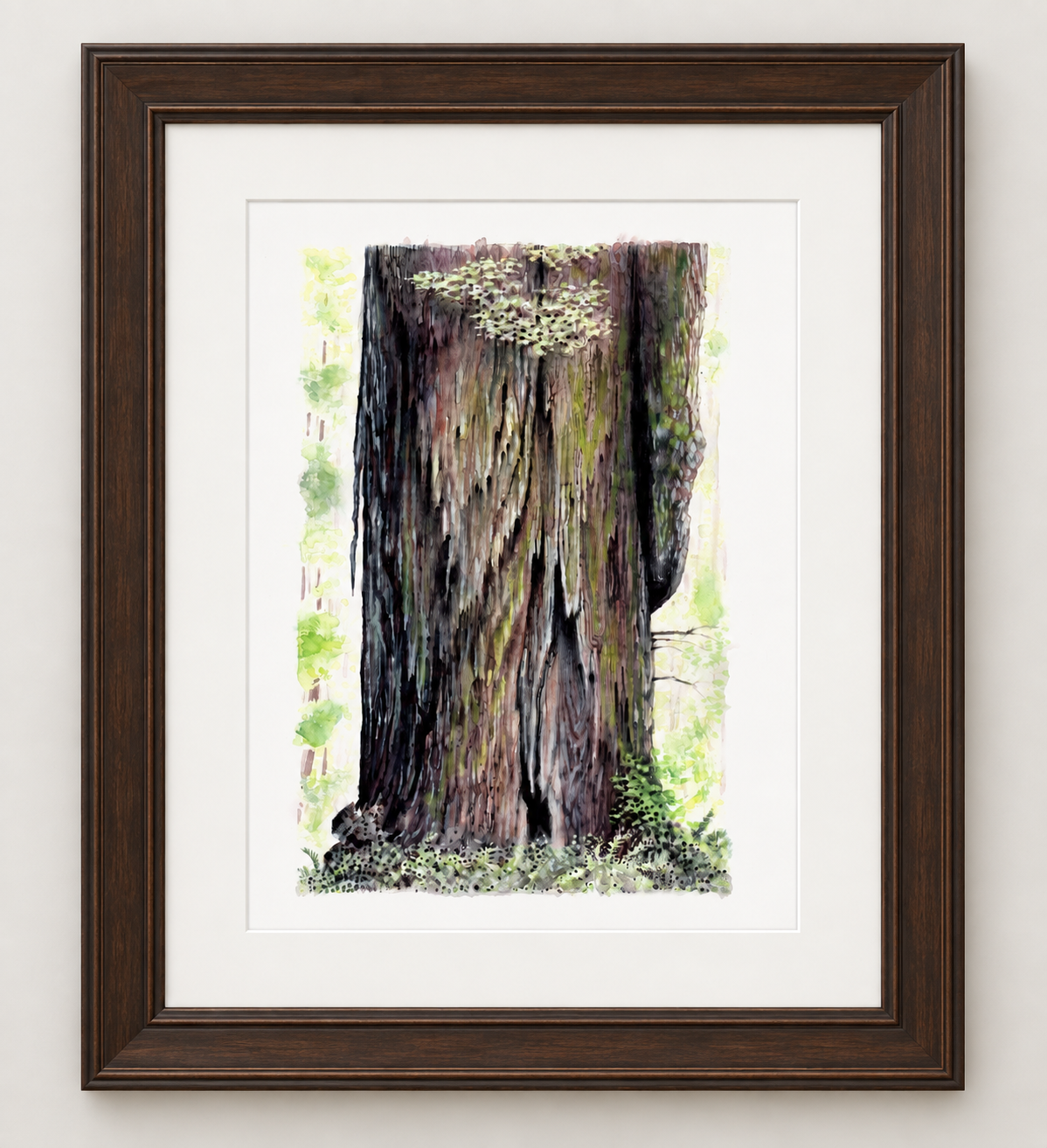 "Giants of the Redwoods" - Artist's Original Watercolor | Jedediah Smith Redwoods State Park, California