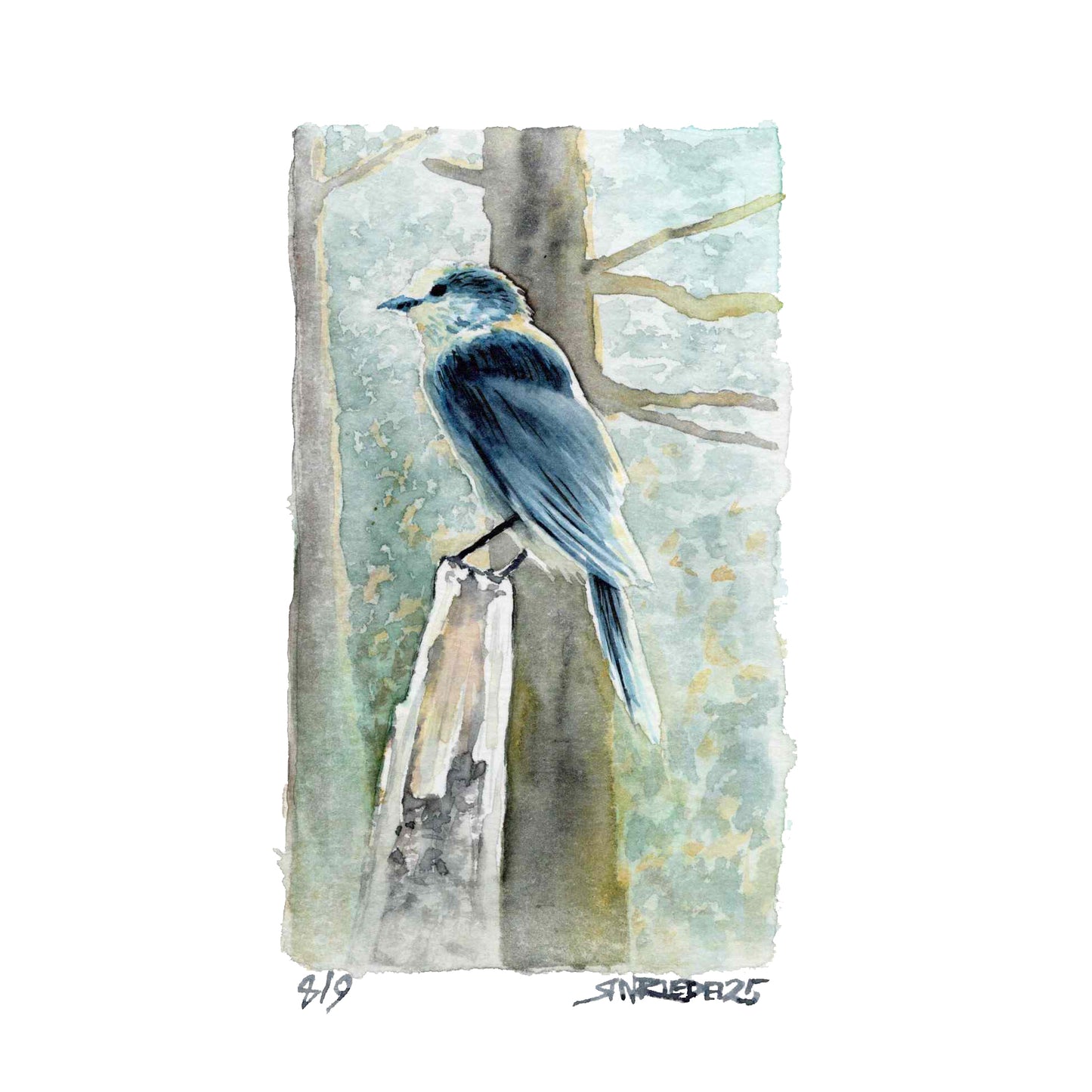 “Trail Companion” - 8x10 Watercolor Print | Appalachian Trail Inspired Art