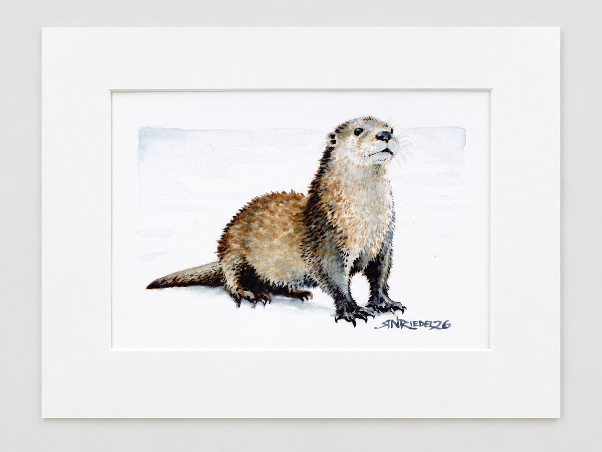 "River Scout" | 8x10 Watercolor Print, Otter | Ocean Friends Collection