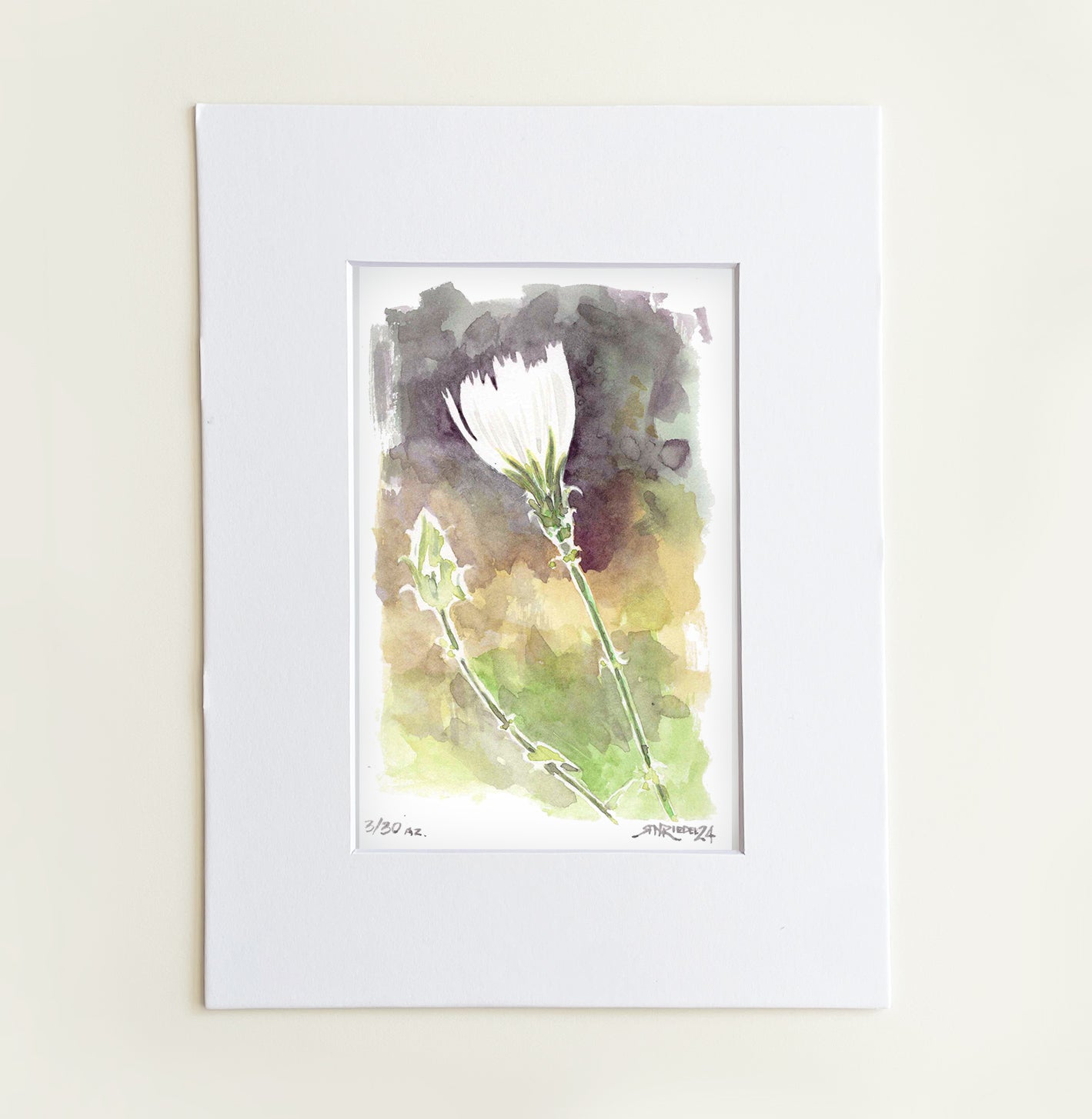 ““Desert Bloom” - 8x10 Watercolor Print | Pacific Crest Trail Wildflower Print”