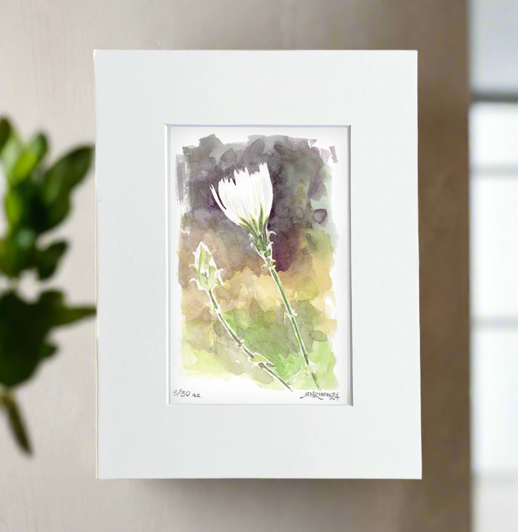 ““Desert Bloom” - 8x10 Watercolor Print | Pacific Crest Trail Wildflower Print”