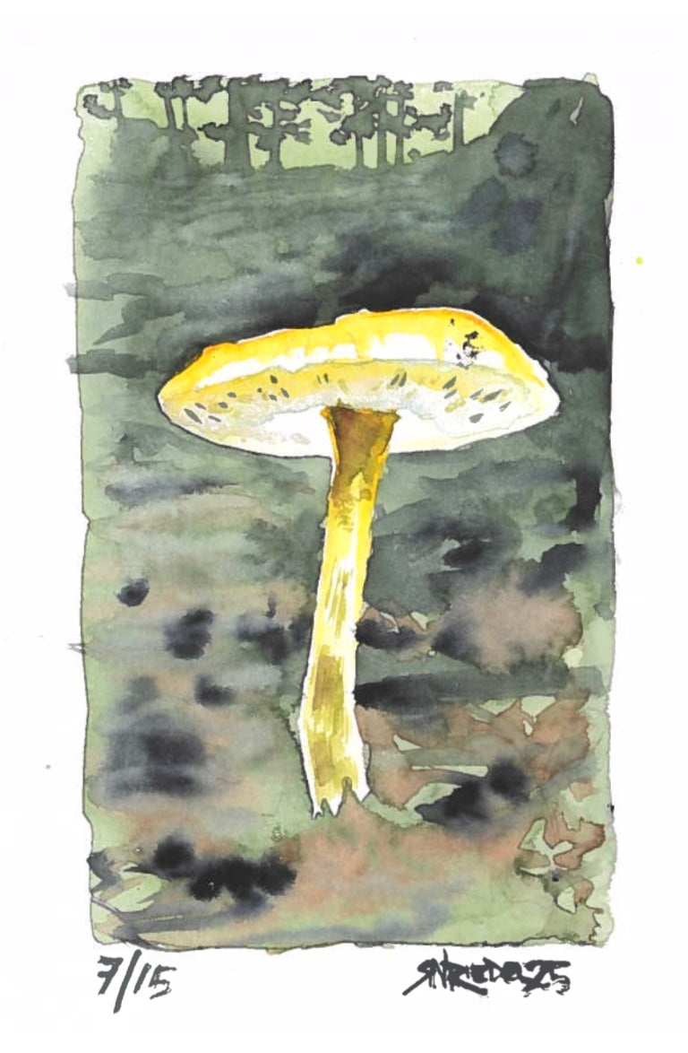 “Bloom Under Pressure” - 8x10 Watercolor Print | Appalachian Trail Inspired Art