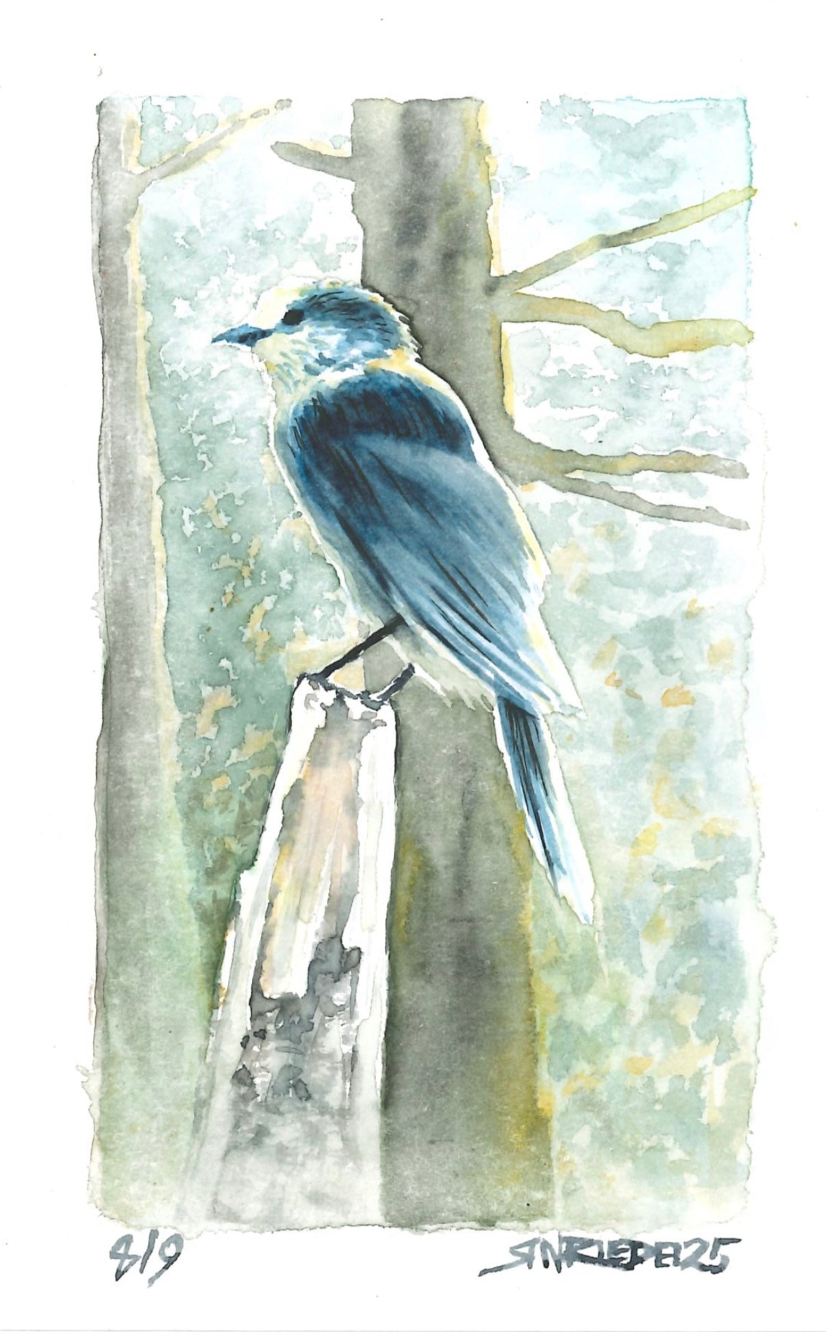 “Trail Companion” - 8x10 Watercolor Print | Appalachian Trail Inspired Art