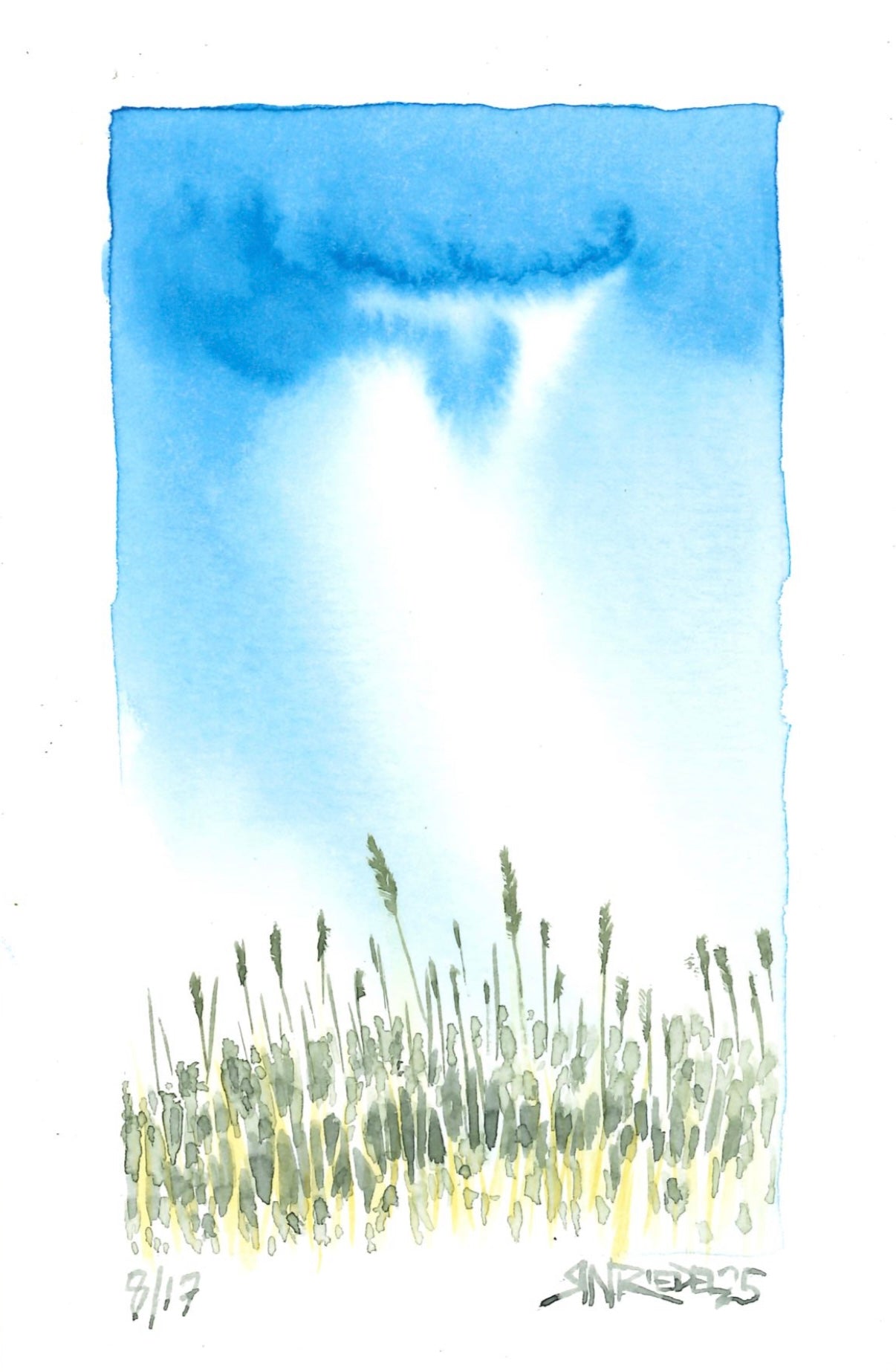 “Yellow Field of Vermont” - 8x10 Watercolor Print | Appalachian Trail Inspired Art