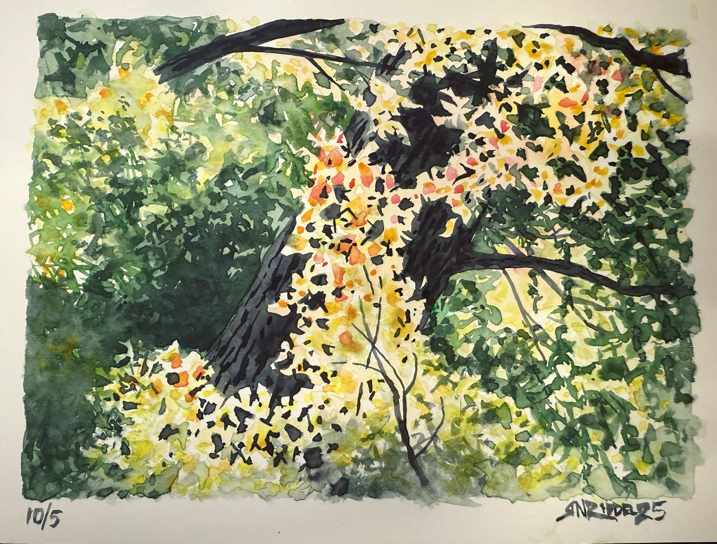 "Look Up" - 11x14 Watercolor Print | Appalachian Trail Inspired Artwork