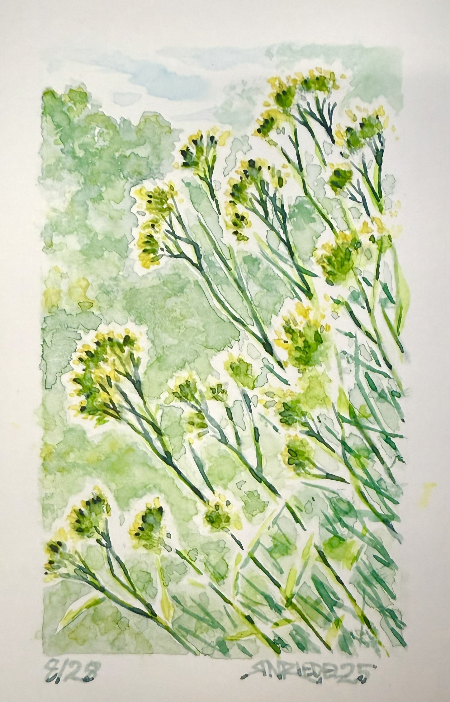 "Goldenrods, MA” - 8x10 Watercolor Print | Appalachian Trail Inspired Art