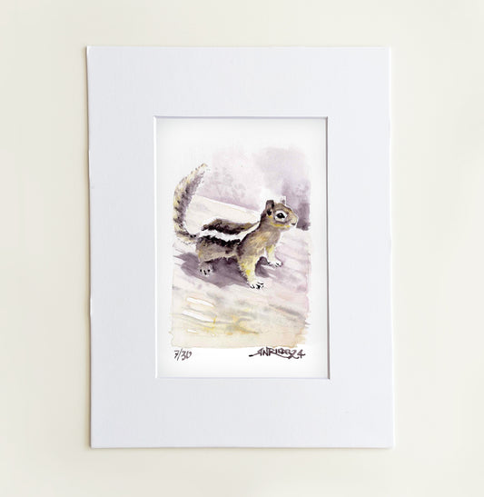 "Little Buster" - 8x10 Watercolor Print |Chipmunk Watercolor Print from the Pacific Crest Trail