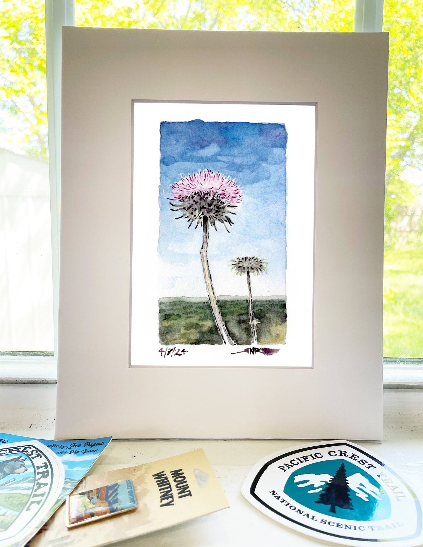 "Thistles on the Trail" – 8x10 Watercolor Print | Pacific Crest Trail Inspired Art