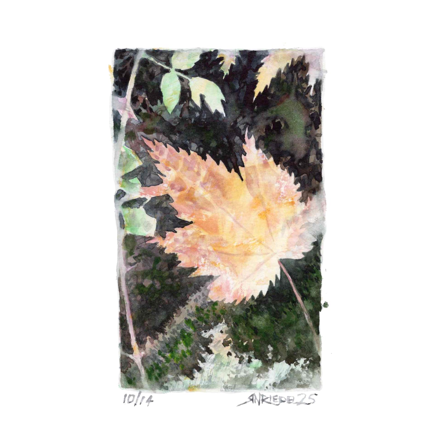 "Season of Gold” - 8x10 Watercolor Print | Appalachian Trail Inspired Art