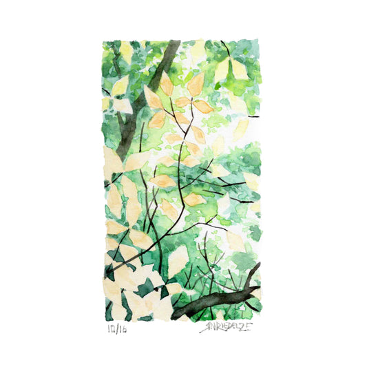 "Day 100 ” - 8x10 Watercolor Print | Appalachian Trail Inspired Art