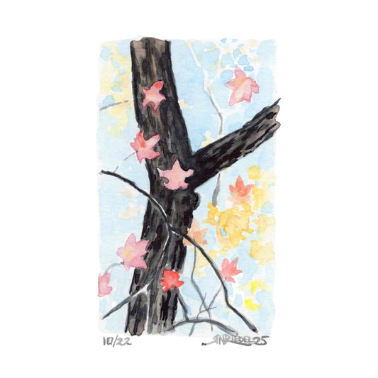 "Bluff Mountain Blush” - 8x10 Watercolor Print | Appalachian Trail Inspired Art