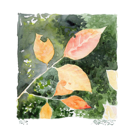 "Leaves of Sunshine" - 12x12 Watercolor Print  | Appalachian Trail Inspired Artwork