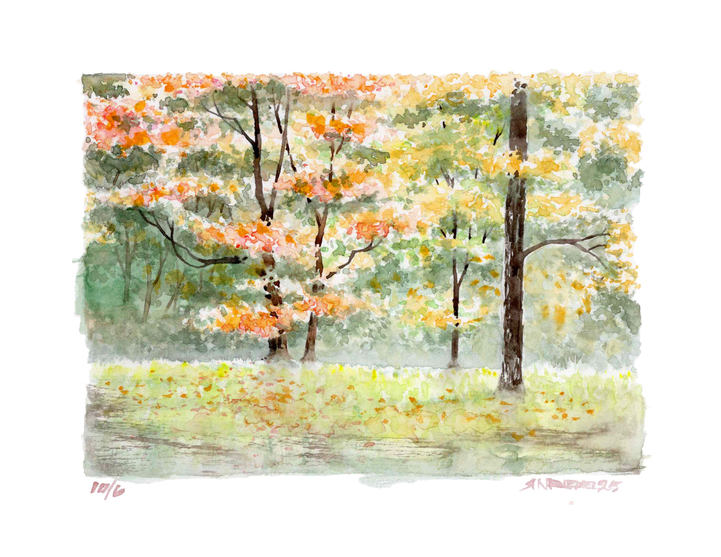 "Virginia Gold" - 11x14 Watercolor Print  | Appalachian Trail Inspired Artwork