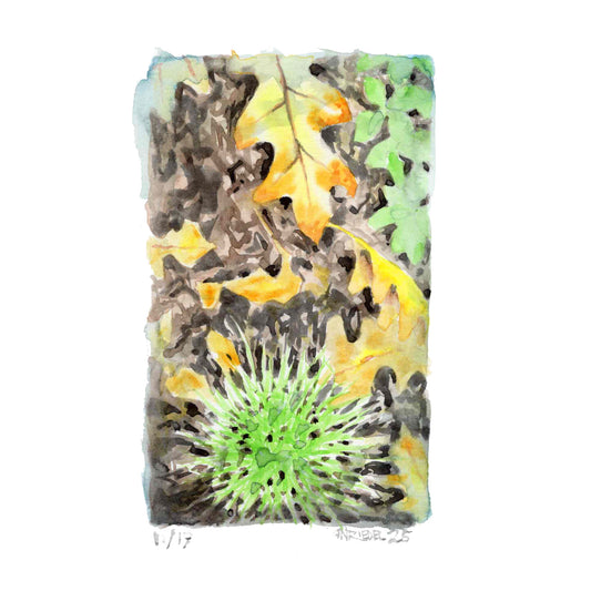 "Beneath Our Feet” - 8x10 Watercolor Print | Appalachian Trail Inspired Art