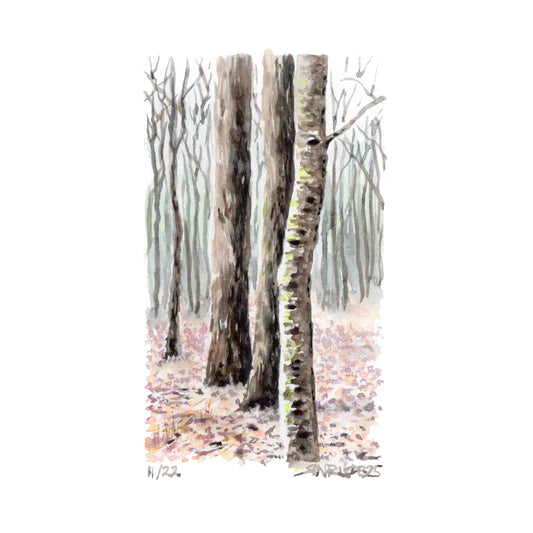 "Bare November” - 8x10 Watercolor Print | Appalachian Trail Inspired Art