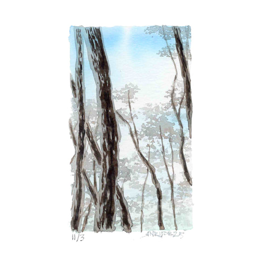 "Blue-Sky Quiet” - 8x10 Watercolor Print | Appalachian Trail Inspired Art