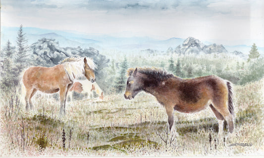 "Grayson Highlands" - 11x14 Watercolor Print  | Appalachian Trail Inspired Artwork