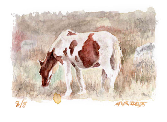 "Highlands Pony” - 8x10 Watercolor Print | Appalachian Trail Inspired Art