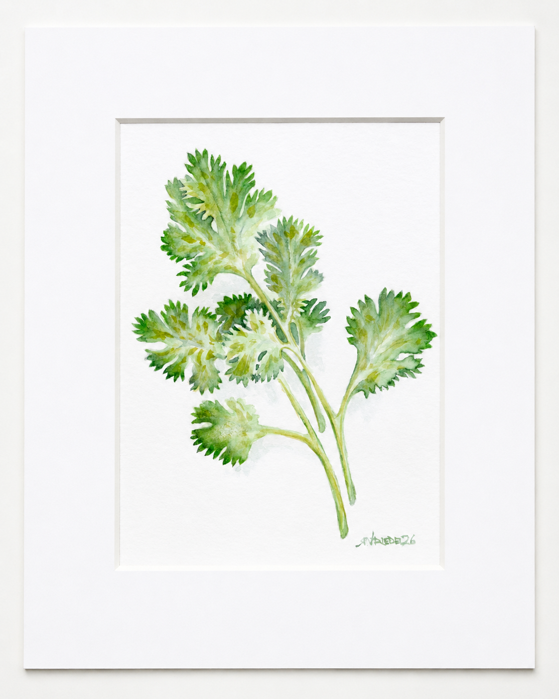 "Fresh Herb" | 8x10 Watercolor Print, Kitchen Art,