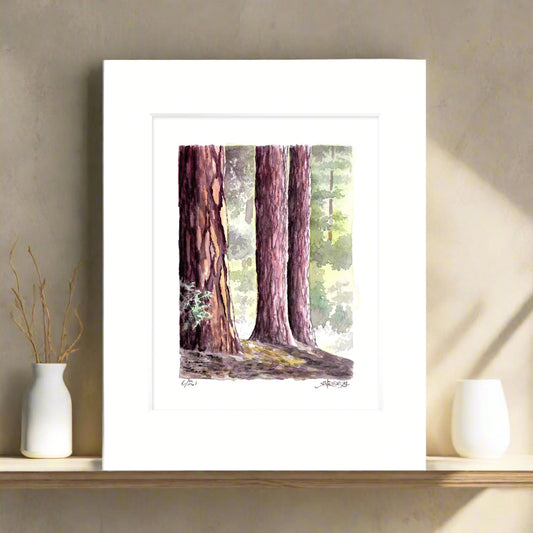"Redwoods" -11x14 Forest Watercolor Print | Pacific Crest Trail Art |Hand-Painted on the PCT