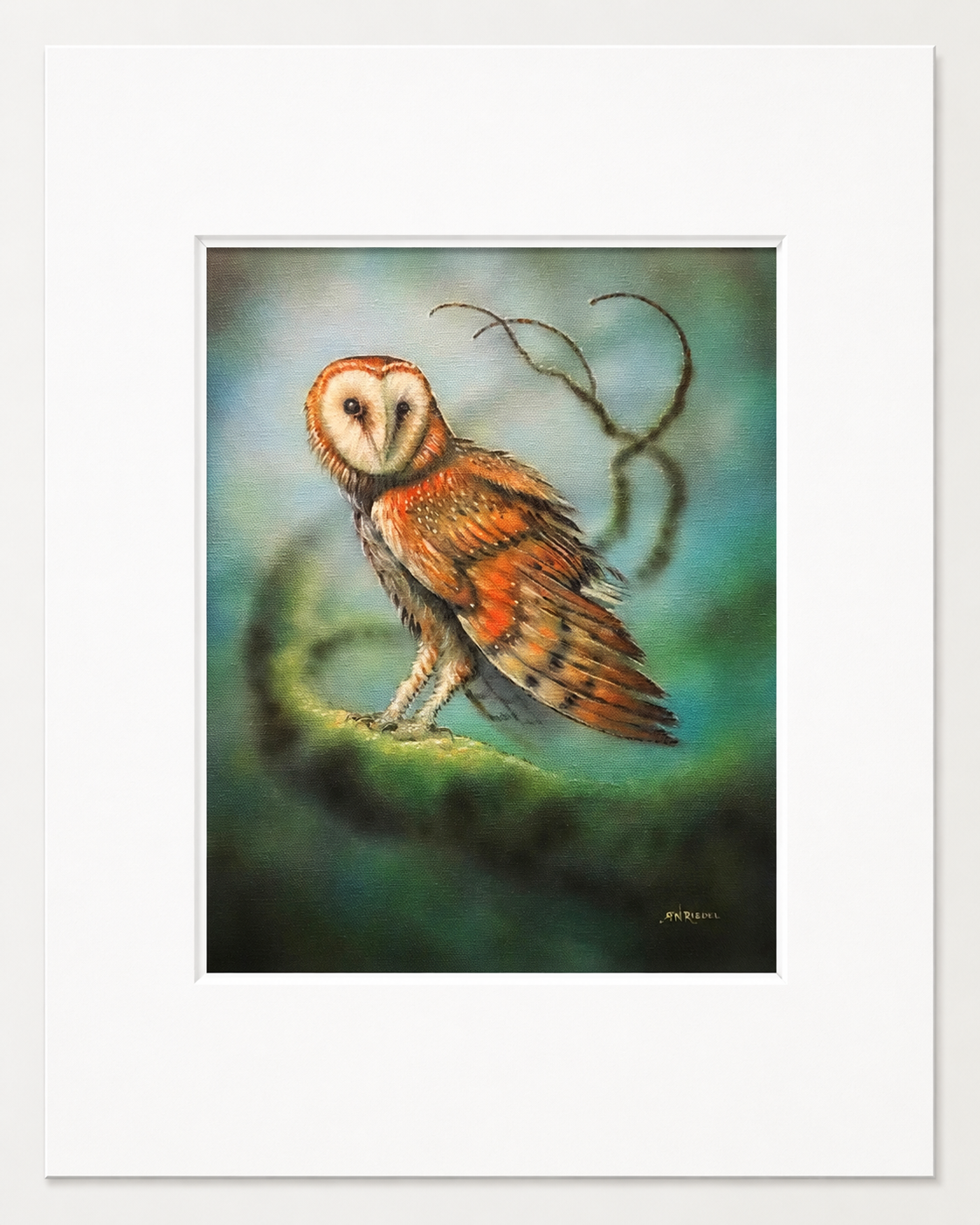 "Tyto Alba" - 12x12 Print | barn owl print, owl art print, bird wall art