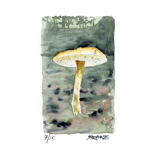 “Shortcut to Mushroom” - 8x10 Watercolor Print | Appalachian Trail Inspired Art