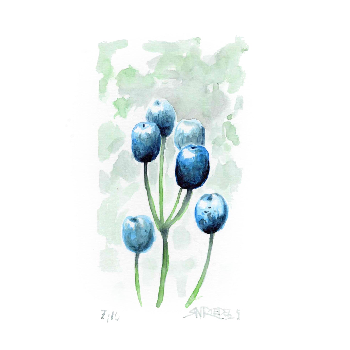 “Blue Harvest” - 8x10 Watercolor Print | Appalachian Trail Inspired Art