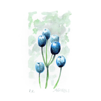 “Blue Harvest” - 8x10 Watercolor Print | Appalachian Trail Inspired Art