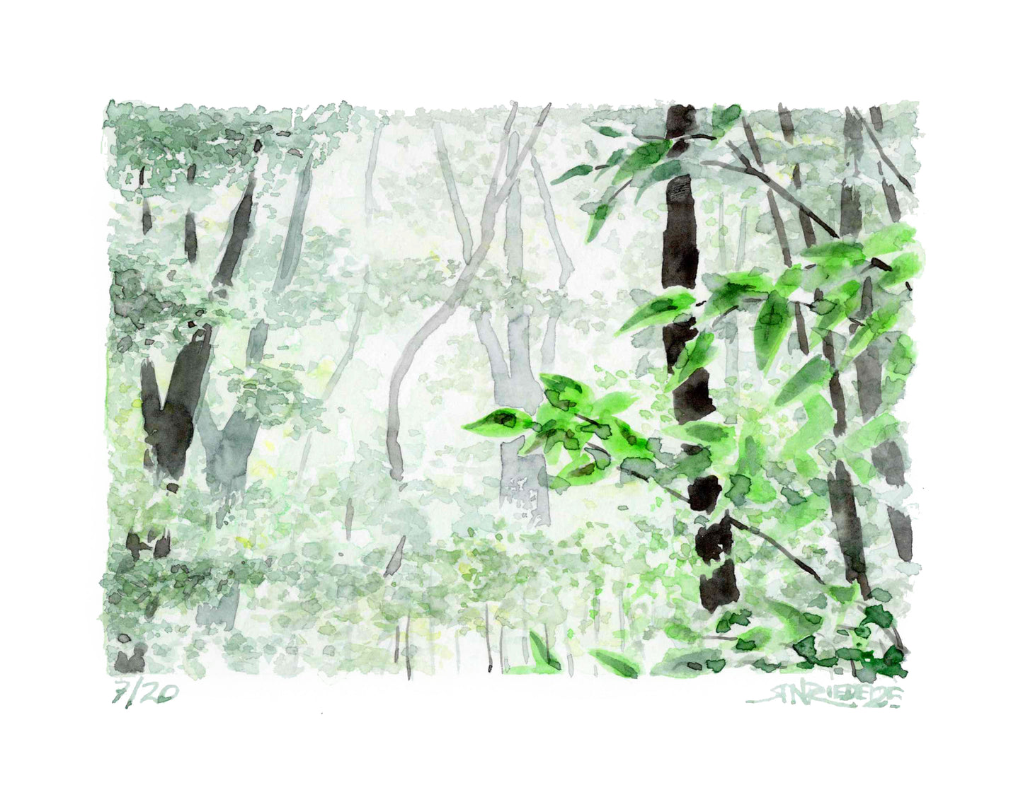 "Maine Mist" - 11x14 Watercolor Print  | Appalachian Trail Inspired Artwork