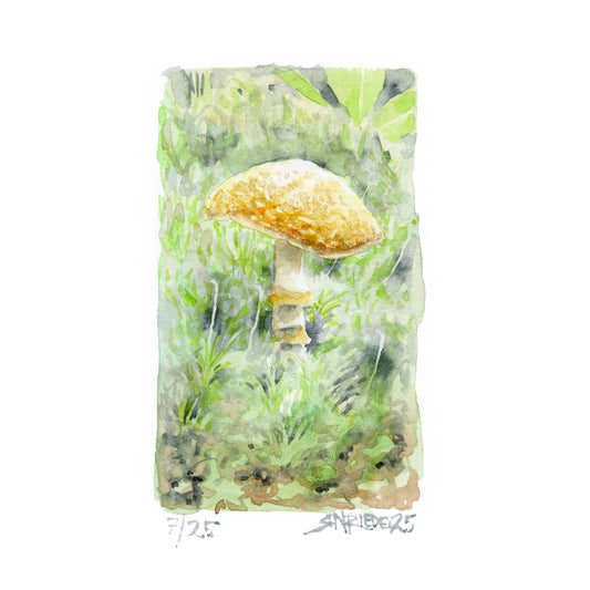 “Sunlit Spore” - 8x10 Watercolor Print | Appalachian Trail Inspired Art