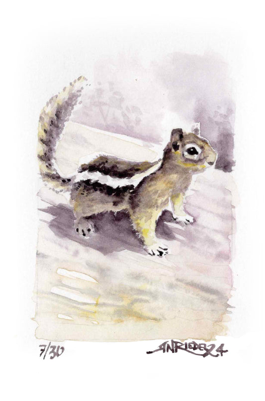 The Protein Fund | Your donation fuels the mighty Protein Fund—aka our ticket to not turning into exhausted squirrels.