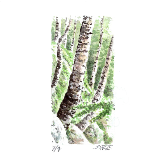 “Beneath the Boughs” - 8x10 Watercolor Print | Appalachian Trail Inspired Art