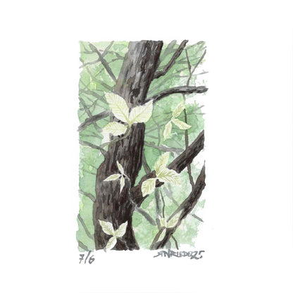 “Veins of Green” - 8x10 Watercolor Print | Appalachian Trail Inspired Art