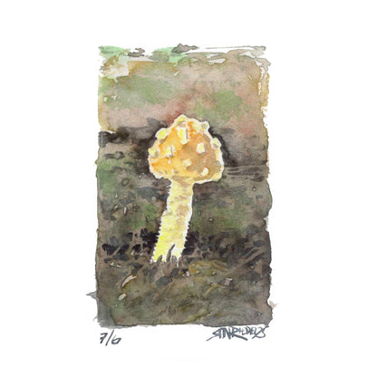 “Golden Mushroom” - 8x10 Watercolor Print | Appalachian Trail Inspired Art