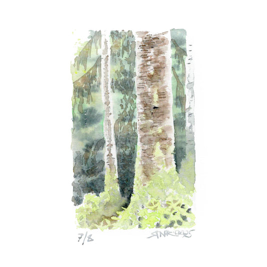 “Into the Wilderness” - 8x10 Watercolor Print | Appalachian Trail Inspired Art