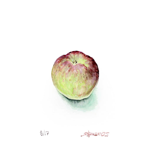 "Stash's Apple” - 8x10 Watercolor Print | Appalachian Trail Inspired Art