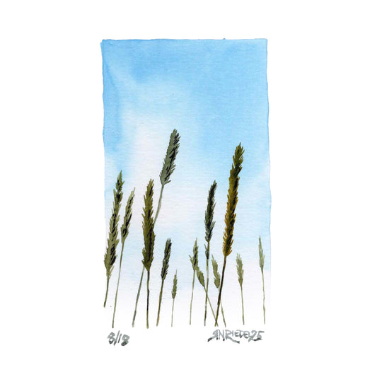 "Summer Sky” - 8x10 Watercolor Print | Appalachian Trail Inspired Art