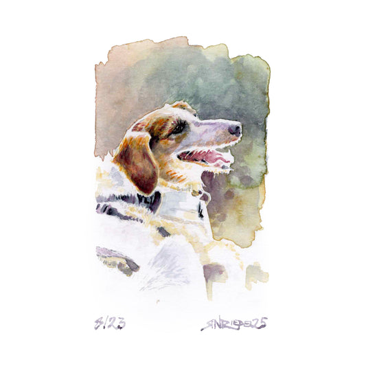 “Trail Magic Pup” - 8x10 Watercolor Print | Appalachian Trail Inspired Art