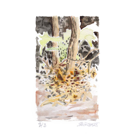 “Fragmented Light” - 8x10 Watercolor Print | Appalachian Trail Inspired Art