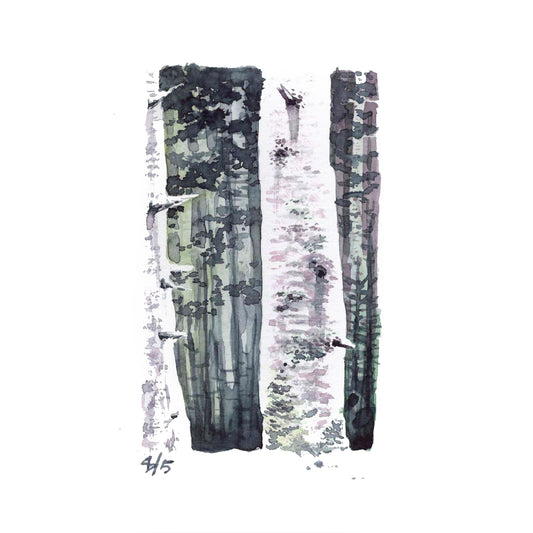 “Tree Bark” - 8x10 Watercolor Print | Appalachian Trail Inspired Art