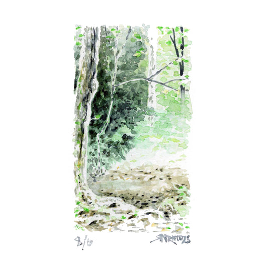 "Trees of the Trail” - 8x10 Watercolor Print | Appalachian Trail Inspired Art