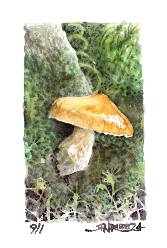 "Forest Gold - 8x10  Watercolor Print | Pacific Crest Trail Inspired Art