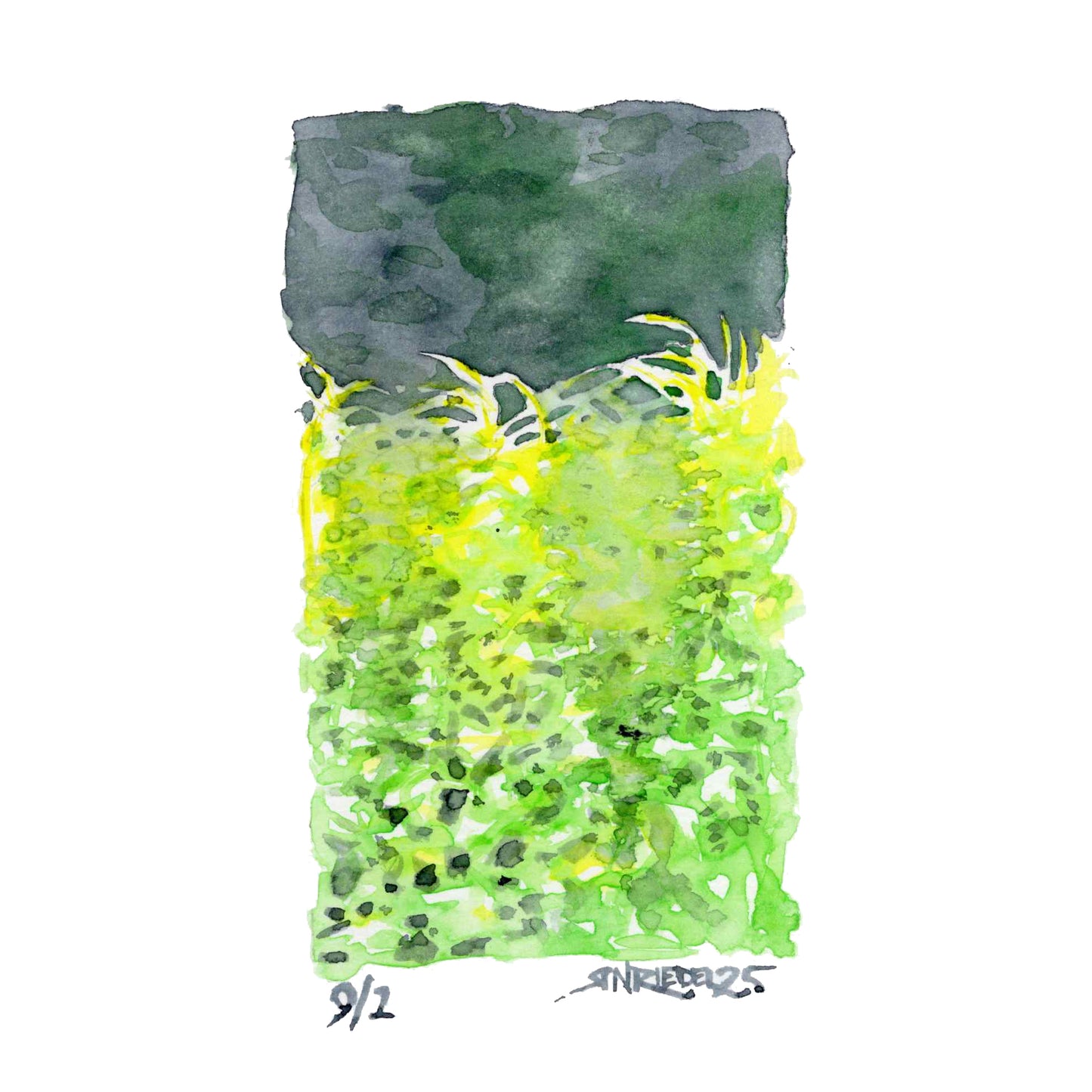 "September Growth” - 8x10 Watercolor Print | Appalachian Trail Inspired Art