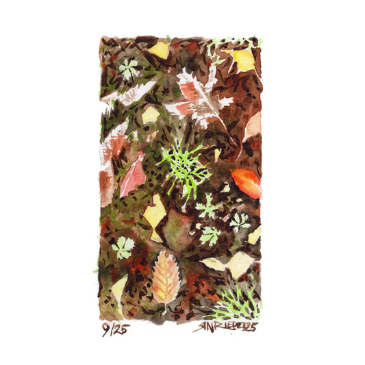 "Fall Floor” - 8x10 Watercolor Print | Appalachian Trail Inspired Art